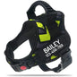 New Dog Harness High Quality Nylon Adjustable - Pawsitive Cuddles