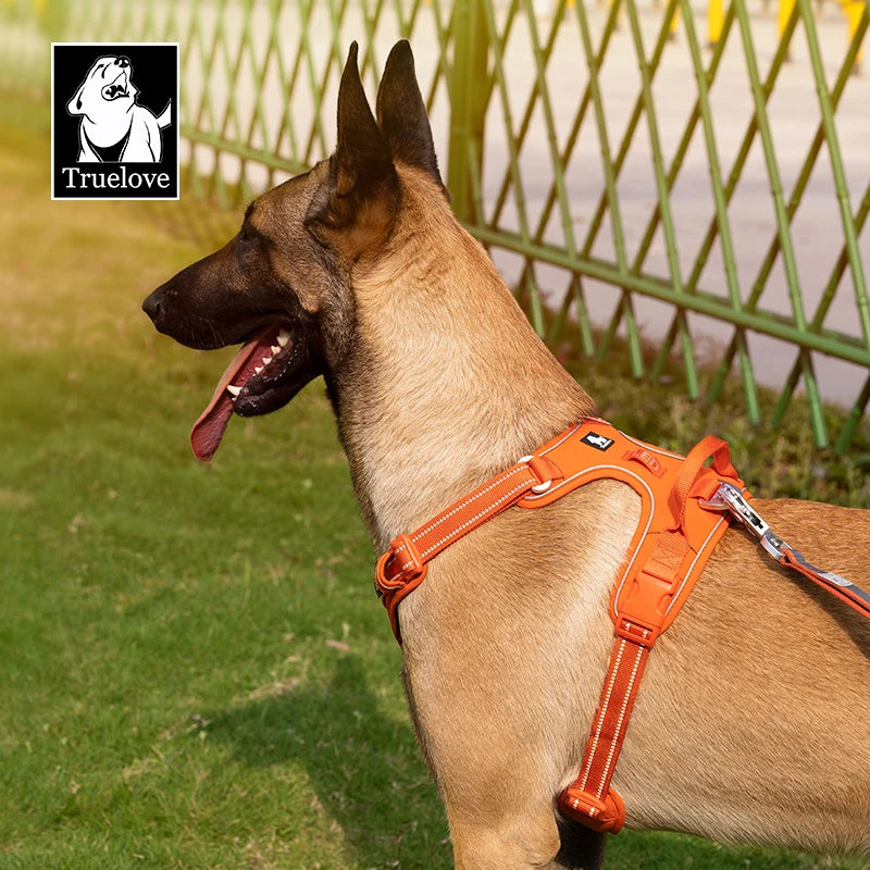 Pet No Pull Nylon Reflective Dog Harness - Pawsitive Cuddles