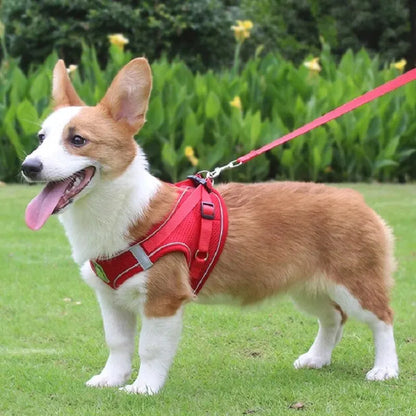 Reflective No-Pull Pet Harness & Leash Set - Pawsitive Cuddles