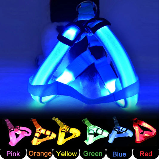 Adjustable LED Dog Harness No Pull Small Medium Glowing Nylon Breast-Band Night Safety Arnes Perro Dropship Pets Dog Accessories -Pawsitive cuddles