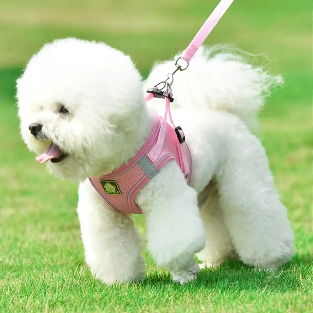 Reflective No-Pull Pet Harness & Leash Set - Pawsitive Cuddles