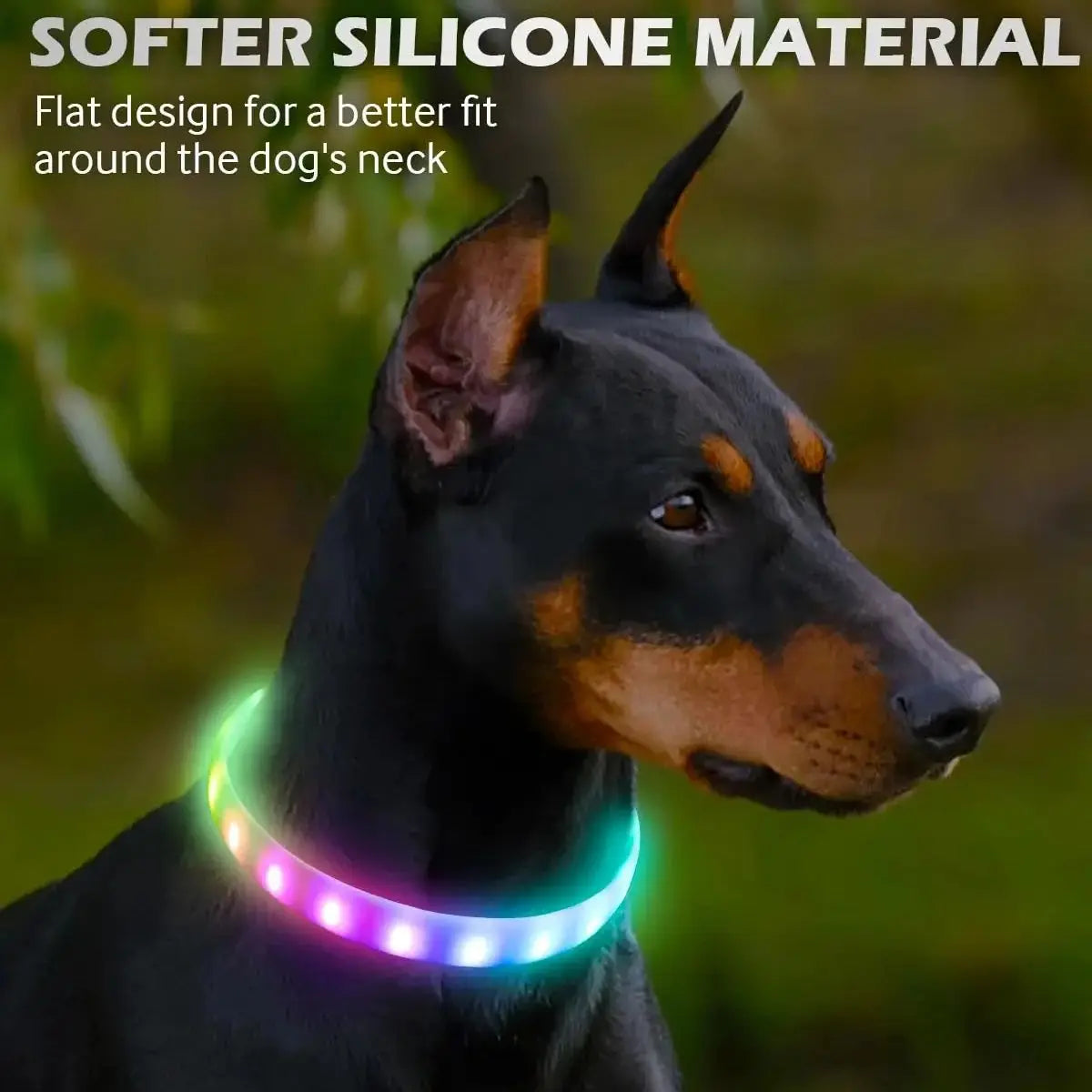 USB Rechargeable Glowing Collar for Large and Small Dogs - Pawsitive Cuddles