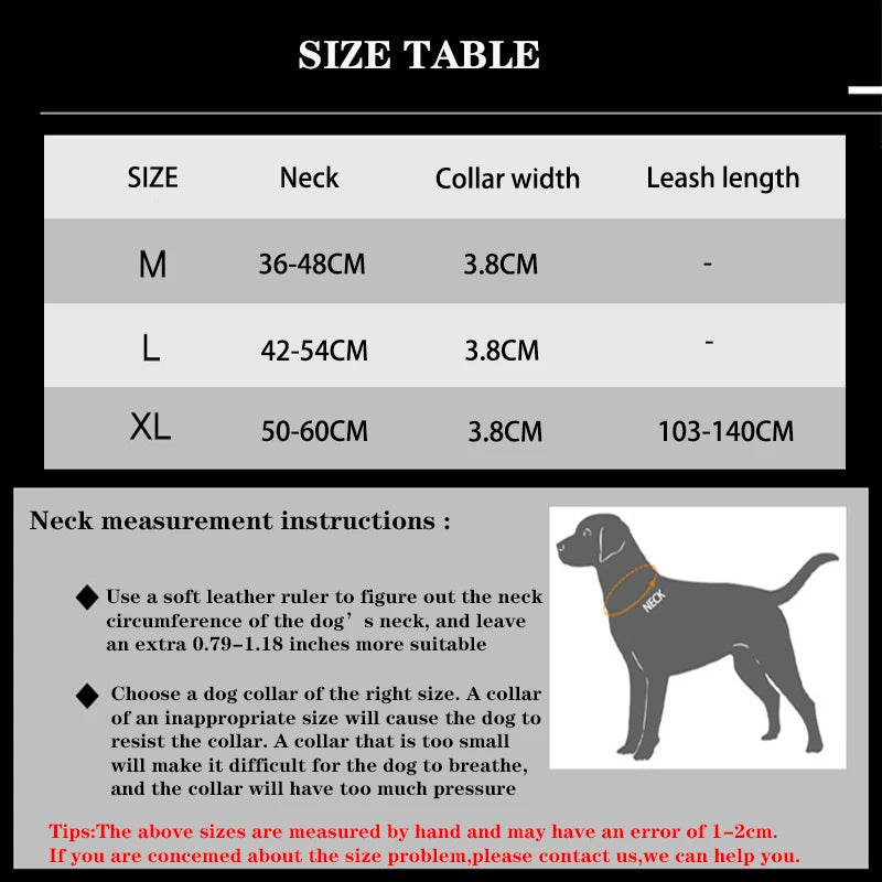 Reflective Nylon Dog Collar & Leash Set - Pawsitive Cuddles