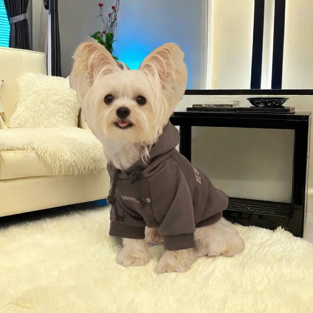 Casual Clothing for Small & Large Dogs and Cats - Pawsitive Cuddles