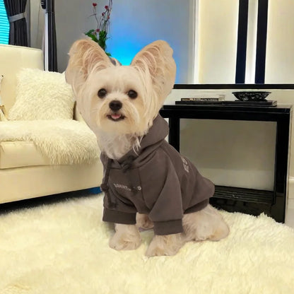 Casual Clothing for Small & Large Dogs and Cats - Pawsitive Cuddles