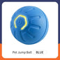 USB Rechargeable Interactive Bouncing Ball - Pawsitive Cuddles