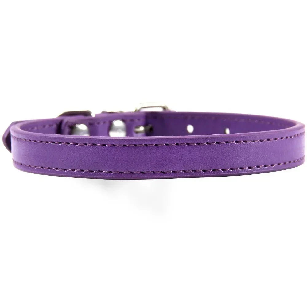 Colorful Leather Puppy & Cat Collar - Pawsitive Cuddles