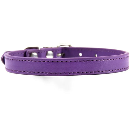 Colorful Leather Puppy & Cat Collar - Pawsitive Cuddles