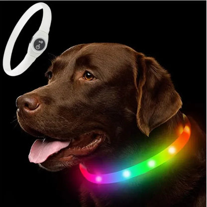 LED Luminous Dog Colla - Pawsitive Cuddles