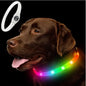 LED Luminous Dog Colla - Pawsitive Cuddles