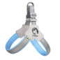 Y-Shaped Dog Harness for Small & Medium Dogs - Pawsitive Cuddles