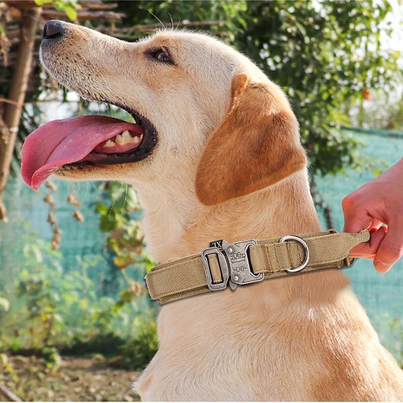 Reflective Nylon Dog Collar & Leash Set - Pawsitive Cuddles