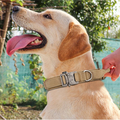 Reflective Nylon Dog Collar & Leash Set - Pawsitive Cuddles