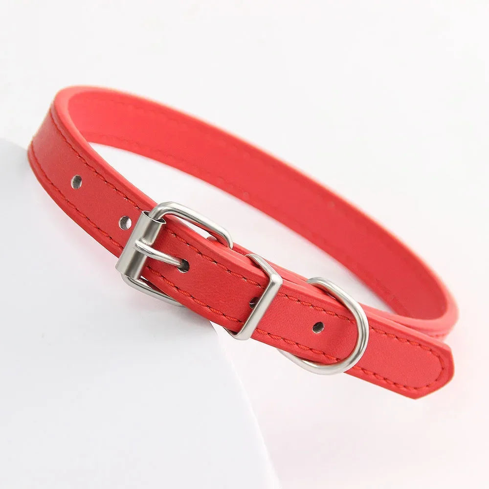 Colorful Leather Puppy & Cat Collar - Pawsitive Cuddles