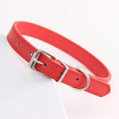 Colorful Leather Puppy & Cat Collar - Pawsitive Cuddles