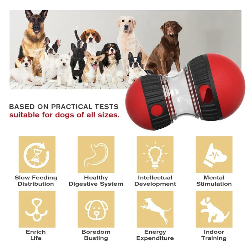 Elliptical Track Rolling Ball with Treat Dispenser - Pawsitive Cuddles