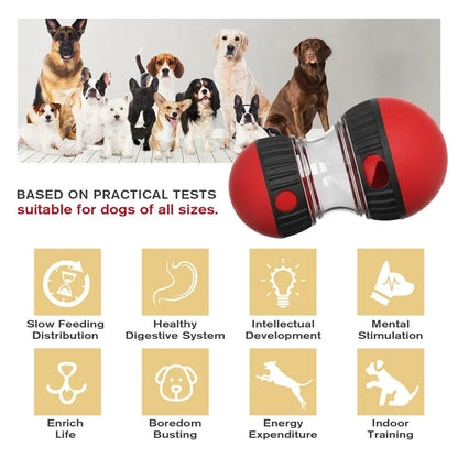 Elliptical Track Rolling Ball with Treat Dispenser - Pawsitive Cuddles