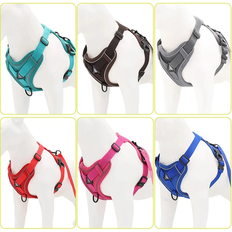 Reflective Pet Harness & Leash Set - Pawsitive Cuddles