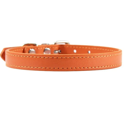 Colorful Leather Puppy & Cat Collar - Pawsitive Cuddles