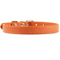 Colorful Leather Puppy & Cat Collar - Pawsitive Cuddles