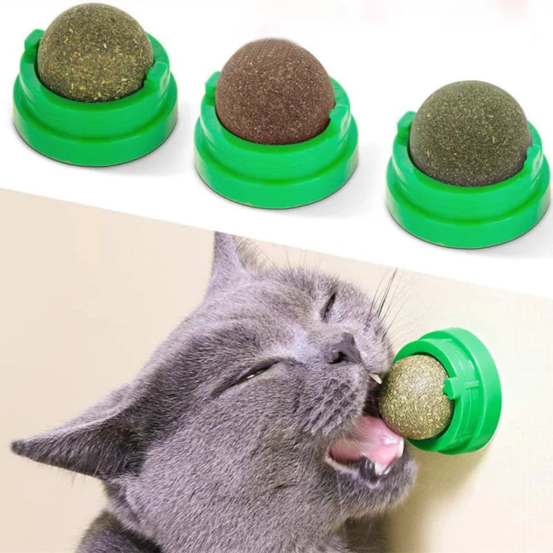 "Natural Catnip Wall Ball – Healthy Treat & Digestive Aid for Cats" - Pawsitive Cuddles