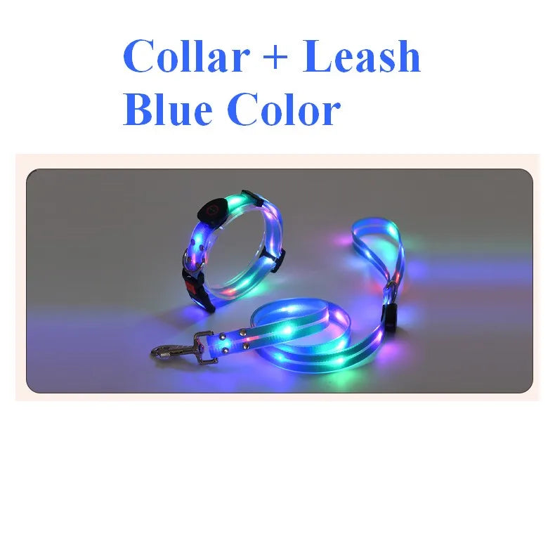 Pet LED Light UP Leash USB Rechargeable - Pawsitive Cuddles