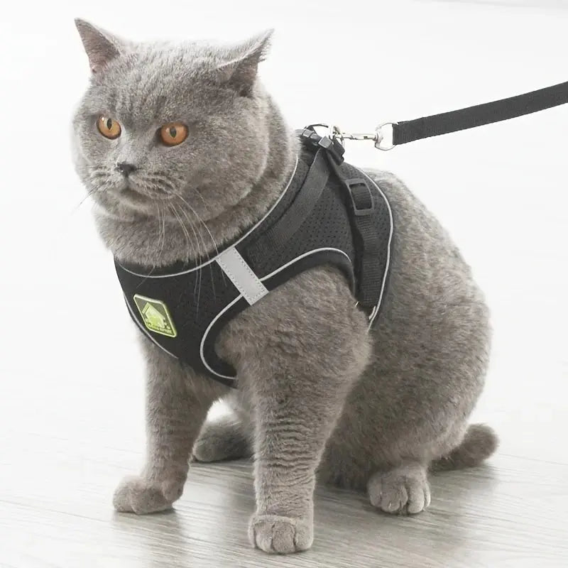 Reflective No-Pull Pet Harness & Leash Set - Pawsitive Cuddles