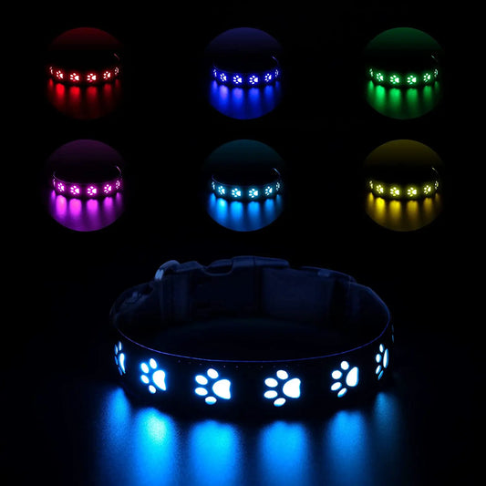 SIMON LED light up dog collar - Pawsitive Cuddles