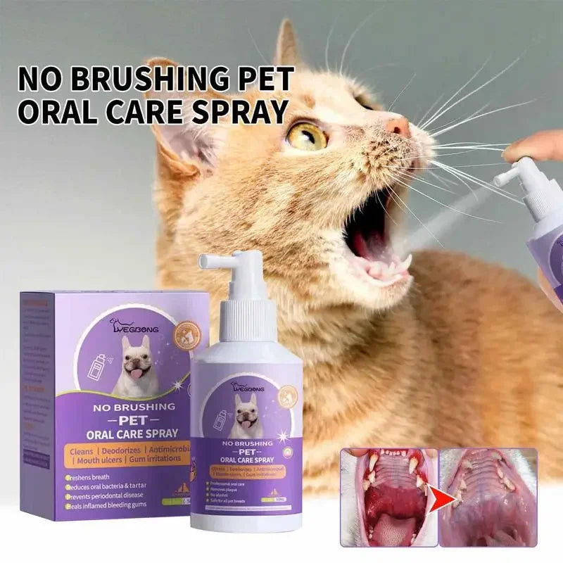 Teeth Cleaning & Deodorizing for Dogs & Cats - Pawsitive Cuddles