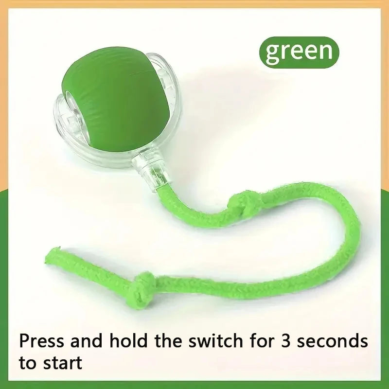 USB Rechargeable Interactive Bouncing Ball - Pawsitive Cuddles