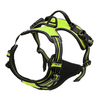 Dog Collar, Harness & Leash Set - Pawsitive Cuddles