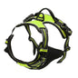 Dog Collar, Harness & Leash Set - Pawsitive Cuddles