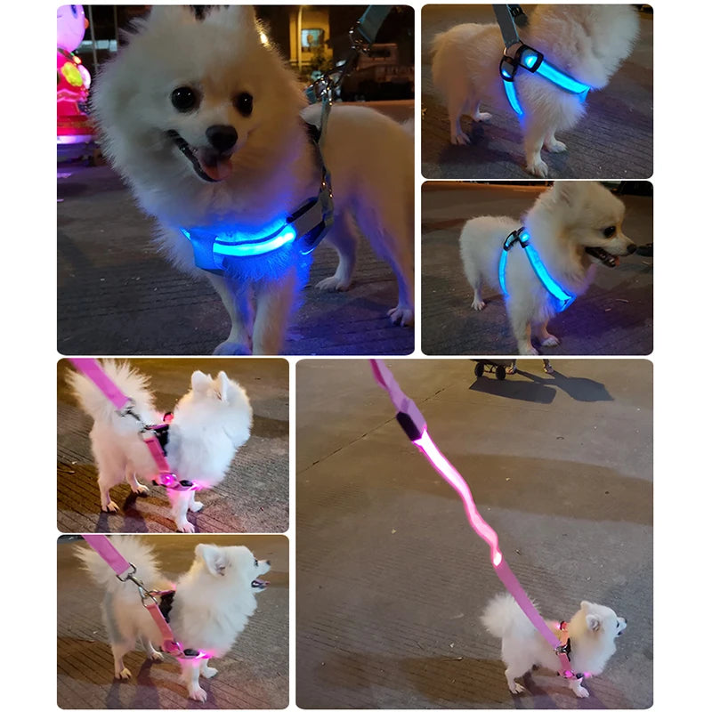 Adjustable LED Dog Harness No Pull Small Medium Glowing Nylon Breast-Band Night Safety Arnes Perro Dropship Pets Dog Accessories - Click Mart