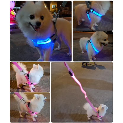 Adjustable LED Dog Harness No Pull Small Medium Glowing Nylon Breast-Band Night Safety Arnes Perro Dropship Pets Dog Accessories - Click Mart