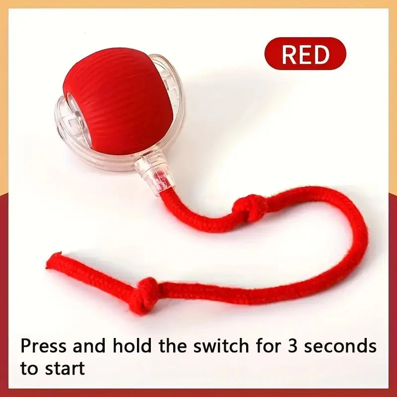 USB Rechargeable Interactive Bouncing Ball - Pawsitive Cuddles