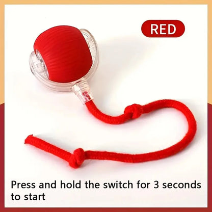 USB Rechargeable Interactive Bouncing Ball - Pawsitive Cuddles