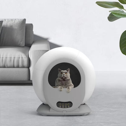 APP Control, Automatic Cat Litter Box - Pawsitive Cuddles