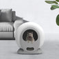 APP Control, Automatic Cat Litter Box - Pawsitive Cuddles