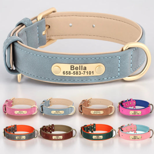 Personalized Dog Collar  ID Tag - Pawsitive Cuddles