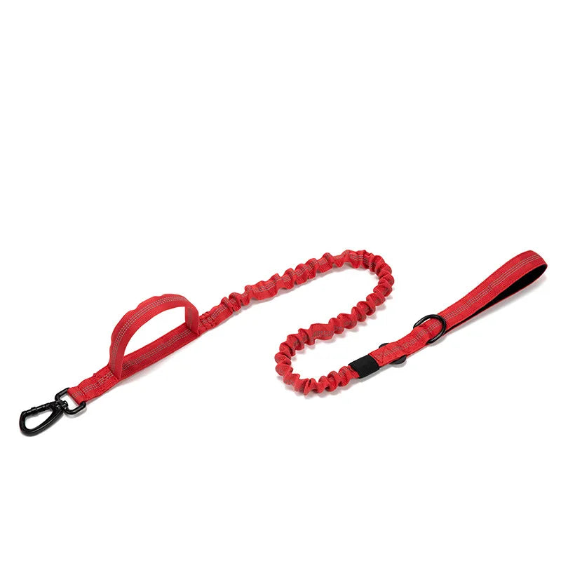Reflective Nylon Dog Collar & Leash Set - Pawsitive Cuddles