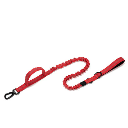 Reflective Nylon Dog Collar & Leash Set - Pawsitive Cuddles
