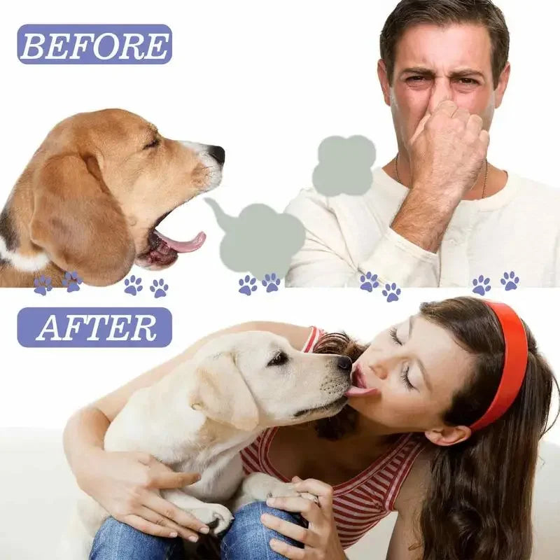 Teeth Cleaning & Deodorizing for Dogs & Cats - Pawsitive Cuddles