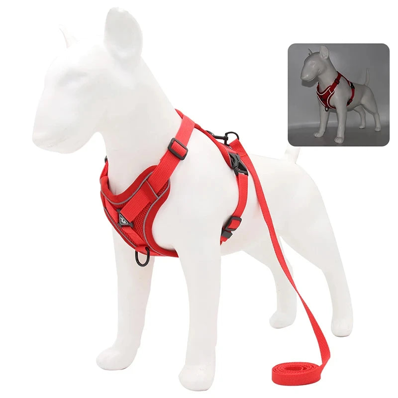 Reflective Pet Harness & Leash Set - Pawsitive Cuddles
