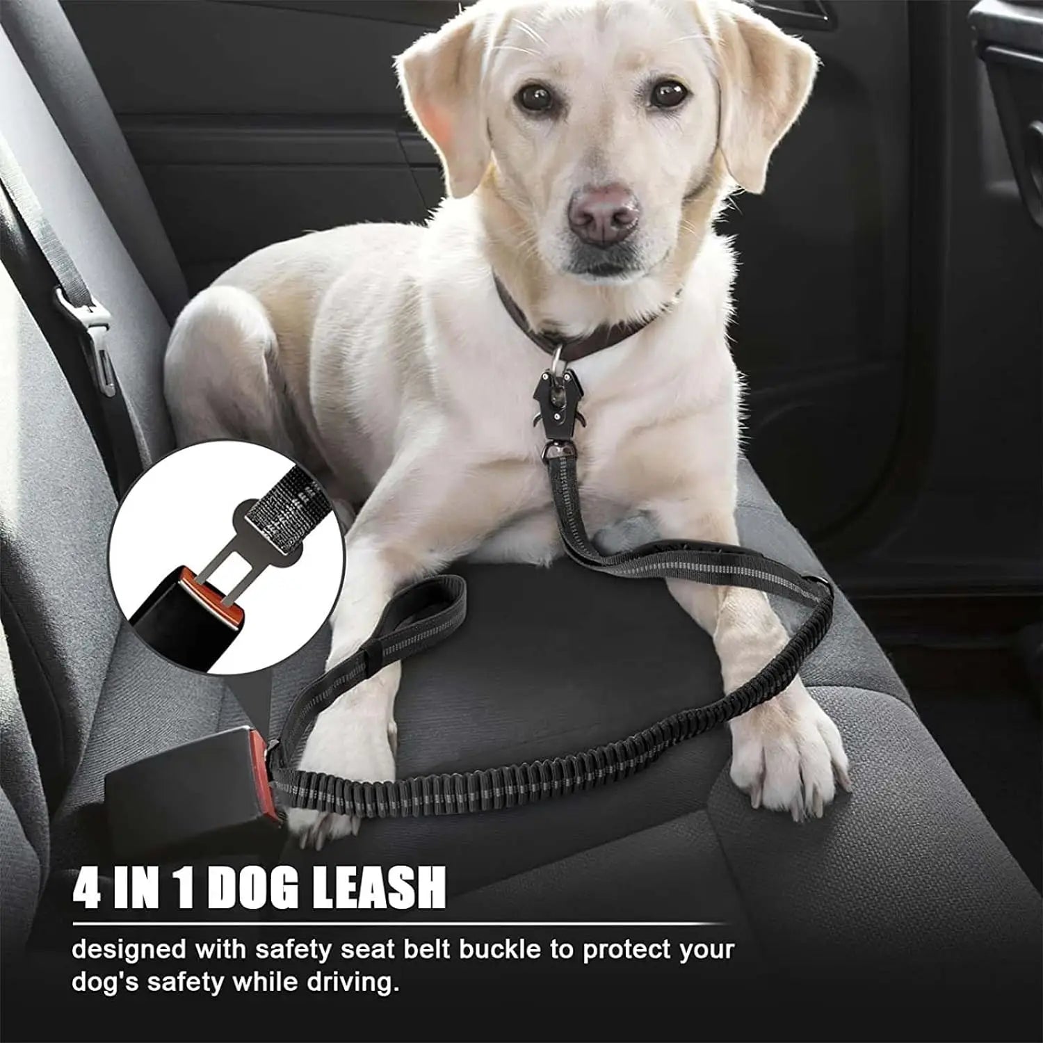 Heavy Duty Reflective Bungee Dog Leash - Pawsitive Cuddles