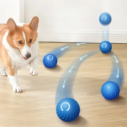 Automatic Pet Toy Ball – USB Charging, Rotating & Jumping Interactive Chew Toy for Dogs - Pawsitive Cuddles