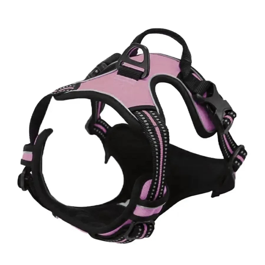 Dog Collar, Harness & Leash Set - Pawsitive Cuddles