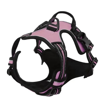Dog Collar, Harness & Leash Set - Pawsitive Cuddles