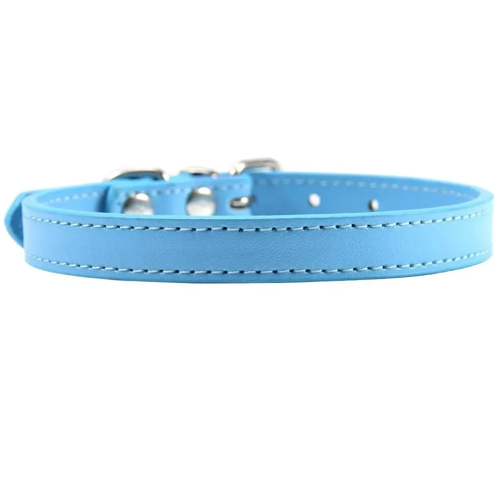 Colorful Leather Puppy & Cat Collar - Pawsitive Cuddles
