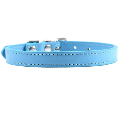 Colorful Leather Puppy & Cat Collar - Pawsitive Cuddles