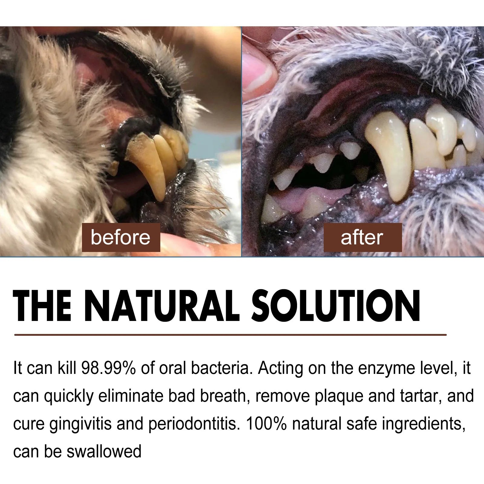 Dental Cleaning & Tartar Removal for Dogs - Pawsitive Cuddles